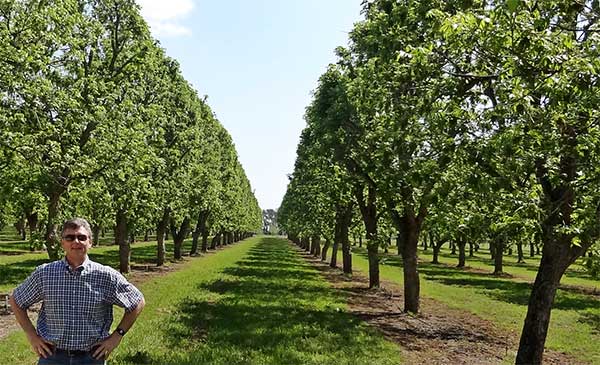 Pecan Farm